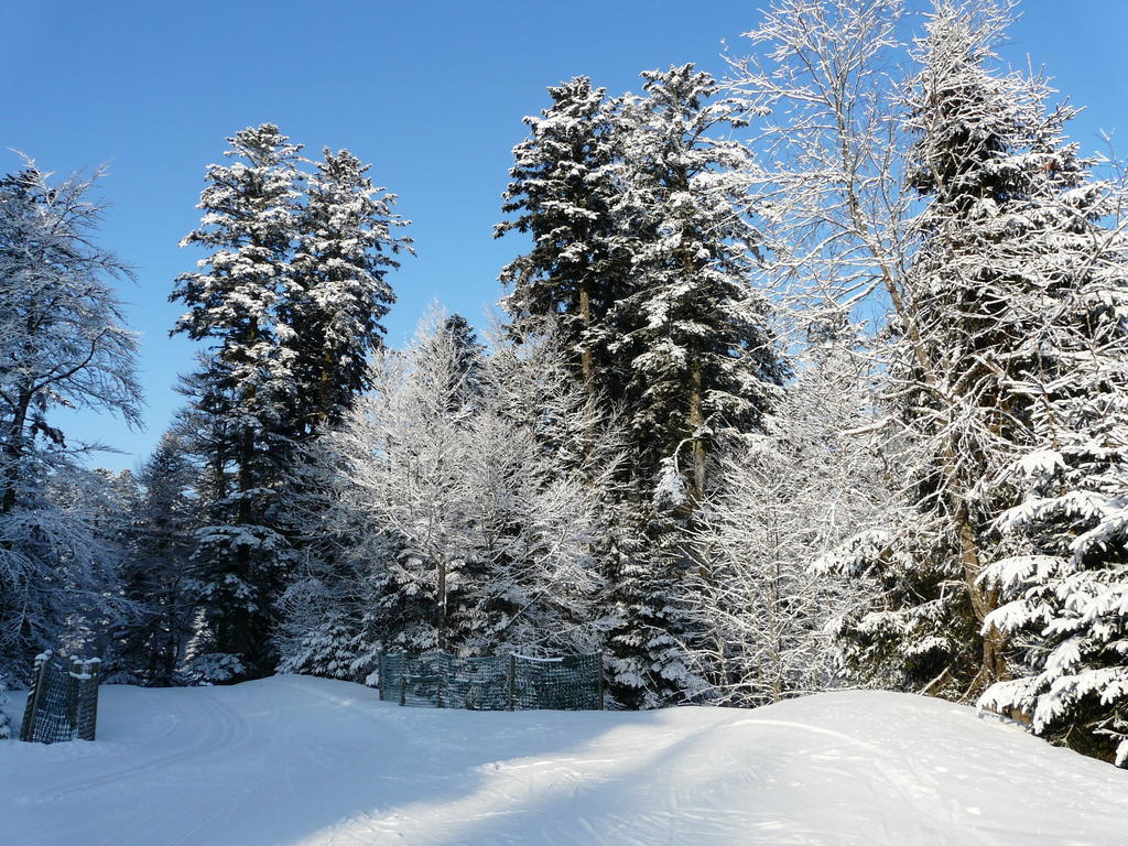 Chalet Les Sapins Argentes Gérardmer Quarto foto