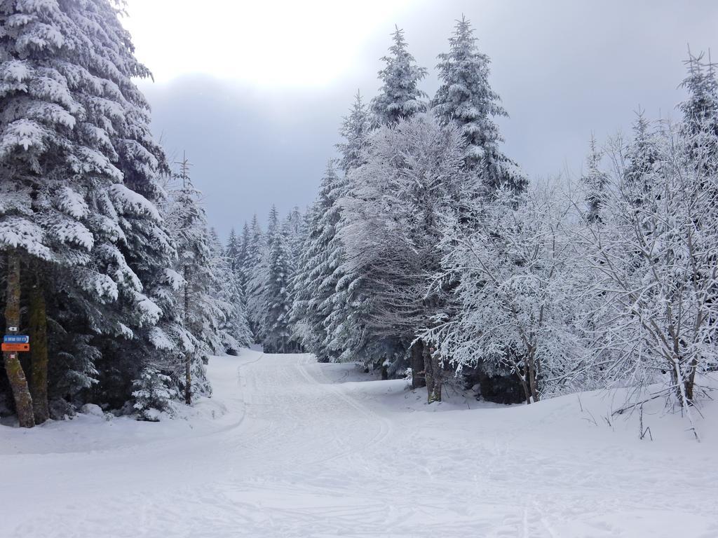 Chalet Les Sapins Argentes Gérardmer Exterior foto