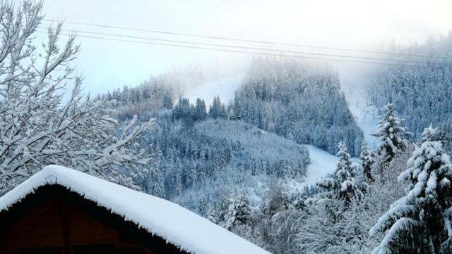 Chalet Les Sapins Argentes Gérardmer Exterior foto